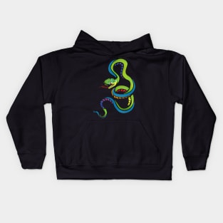 Abstract Colorful Snake Kids Hoodie